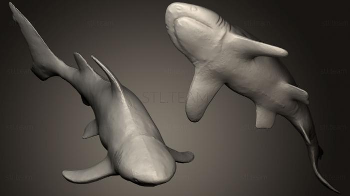 Статуэтки животных Игрушка с черным кончиком акулы